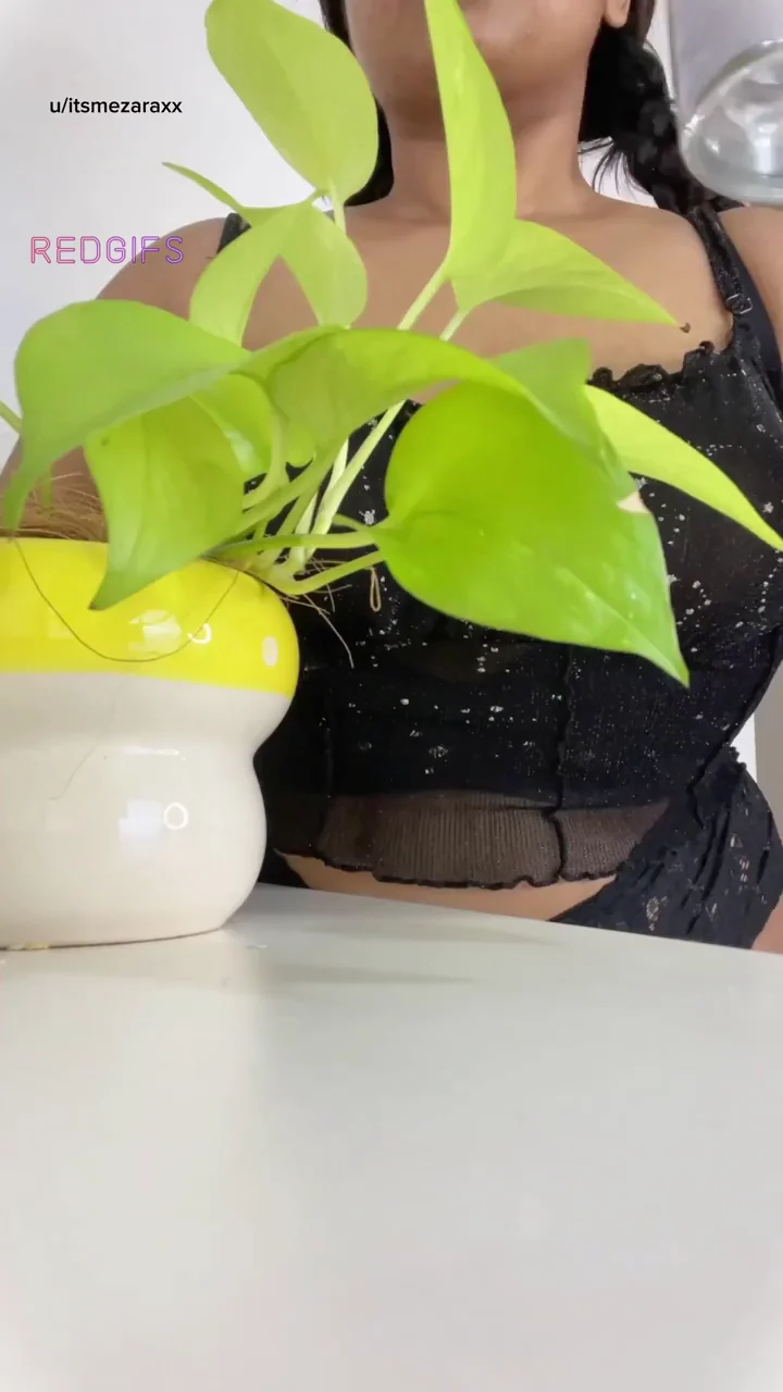 Have you watered your plants yet?