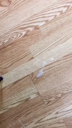 Tongue to the ground... you know you have to clean up before you eat~ [F]