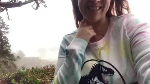 Welcome To Jurassic Park (Drop)