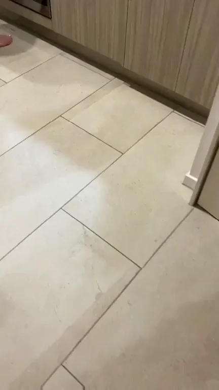 🔥 Freeuse Kitchen Slut: Bend Over & Take It Anytime! 🍑💦