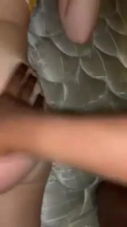 Sexy College Girl Taking BBC