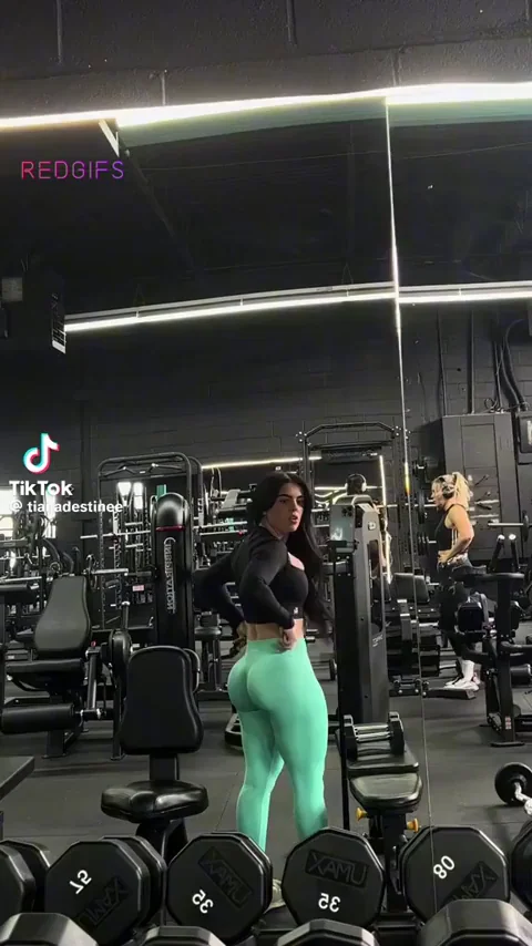 Gyattt
