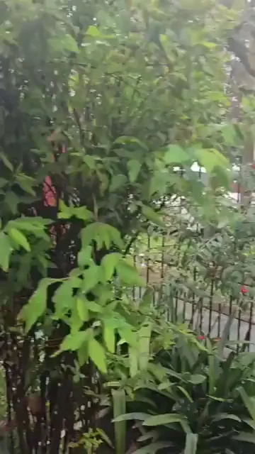 dared by u/gfandbfhot to show my tits in my window, give us more dares and ideas and let's see who dares to do more things