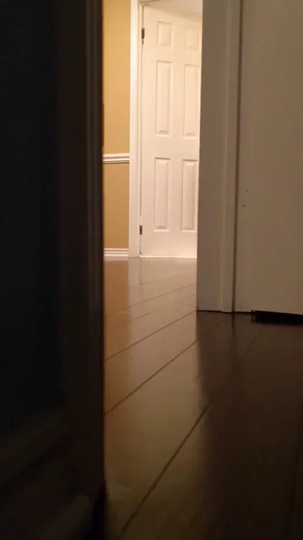 My post shower walk