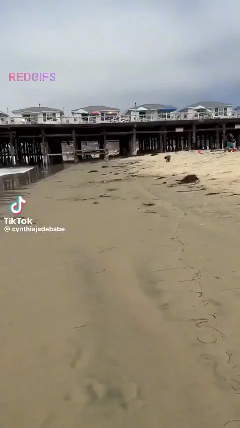 Thong-Clad Beach Slut Struts Her Juicy Ass on TikTok