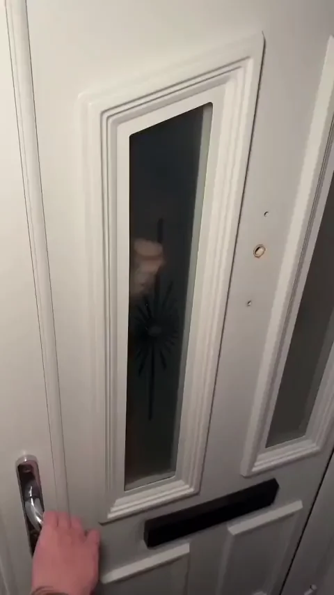 What pizza will your order