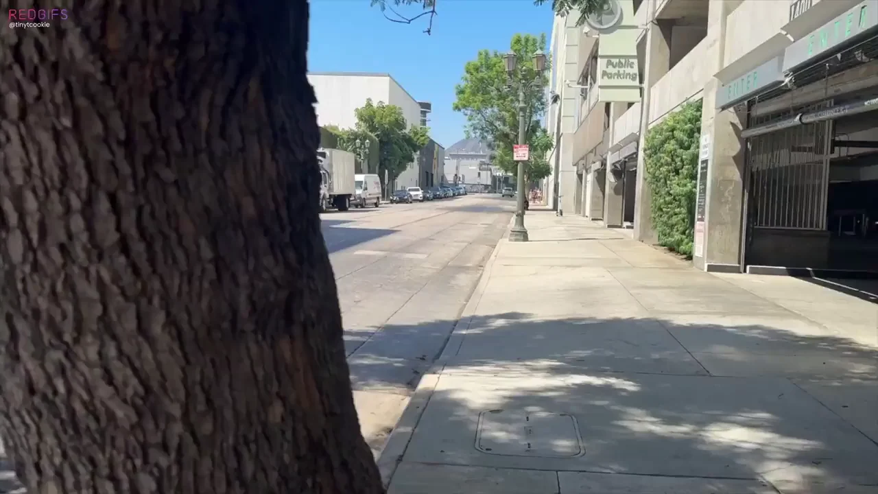 Proving that you can definitely see into the hotel from the street!