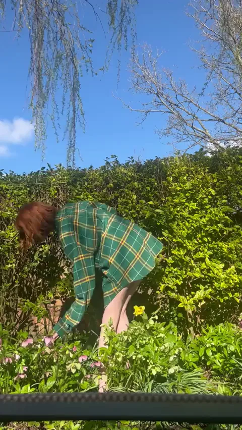You would love me to be your gardener
