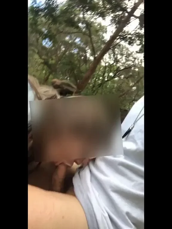 Some come to Australia for the bridge. We come for the blowjob