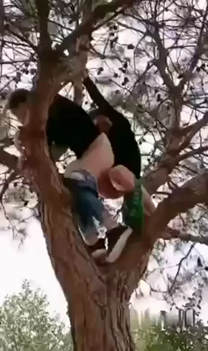 Risky Outdoor Tree Doggy: Thick Cock Pounding Asian GF's Big Ass 🍑🌳💦