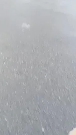 Mind if I drive??