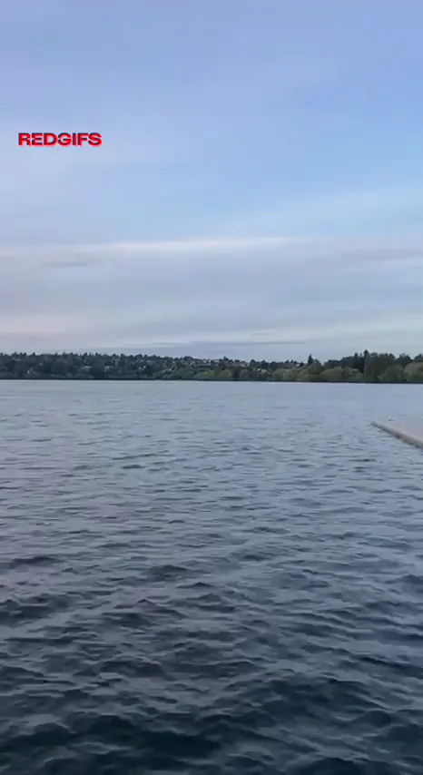 I bet your mornings walks have never been better