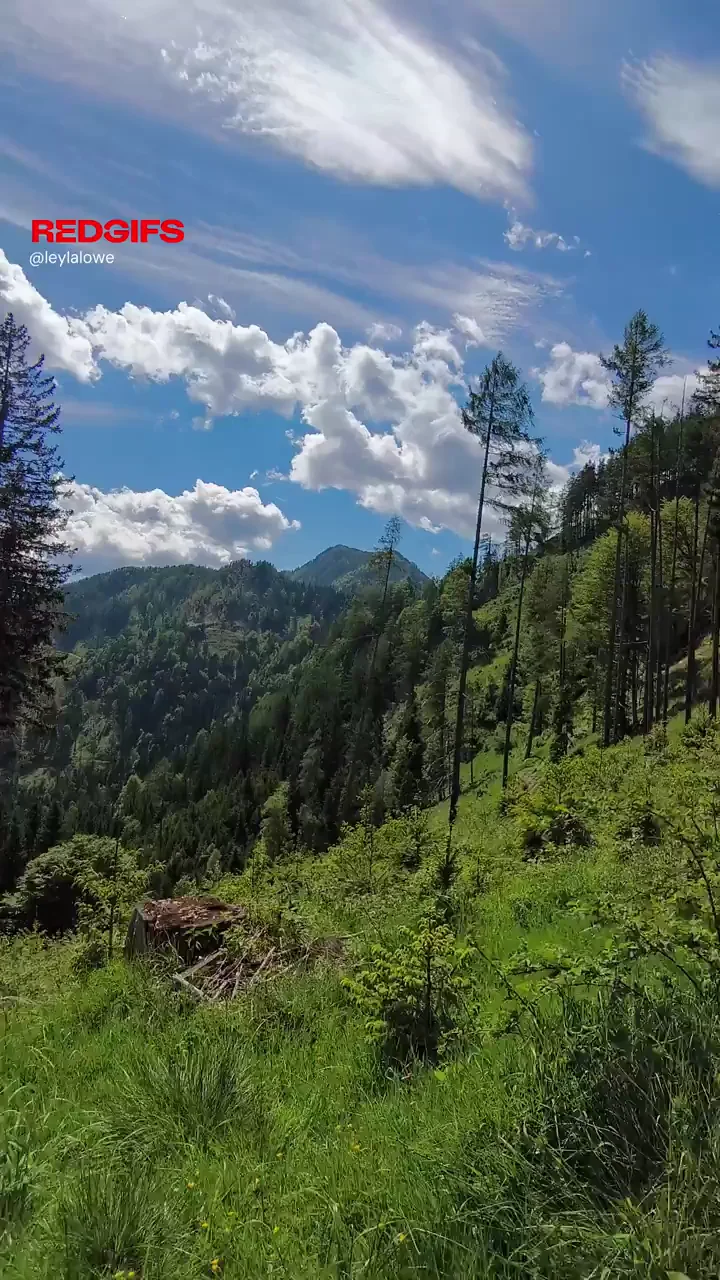 Nude Hiking Bliss 😍🌲🍒 Bare Tits in the Wild