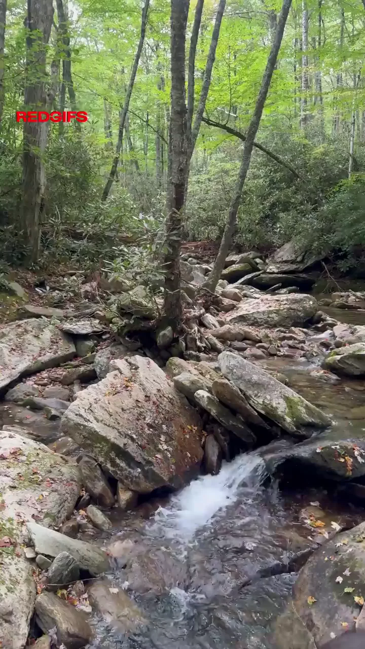 Hiking Slut Bends Over for Public Ass Flash by the Creek