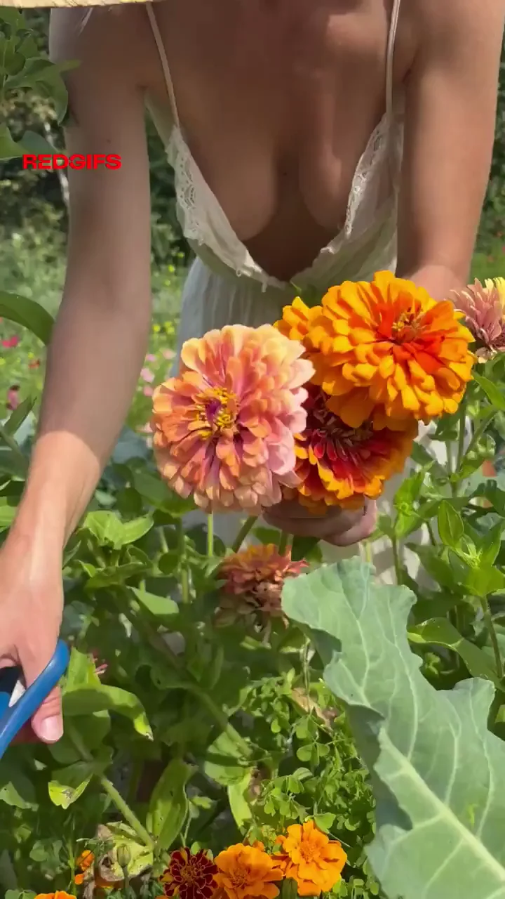 Flower Garden Downblouse Tit Tease