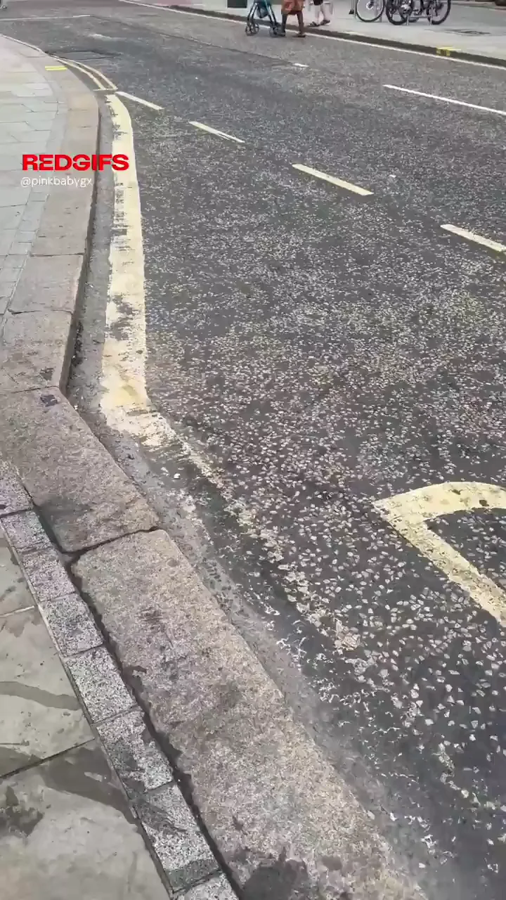 Flashing for all to see on this busy London road