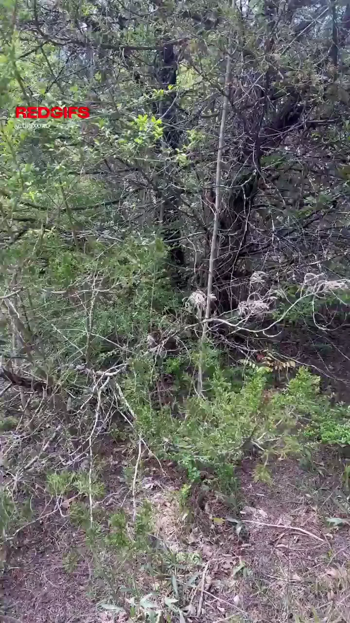 Hiking with My Thick Ass & Epic Titty Drop 🥾🍑💦