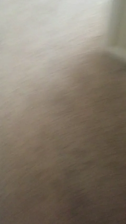 I guess my wife wasn’t expecting me home from work so soon