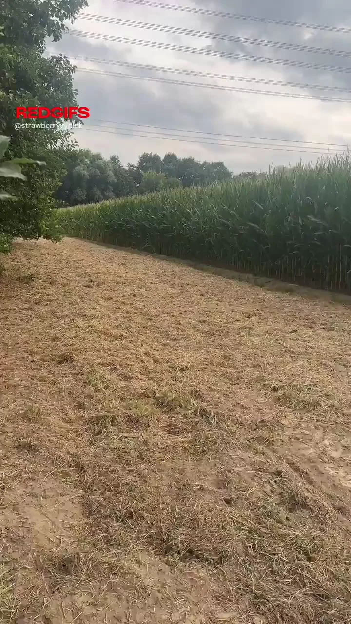 Strawberry Farm Girl innocently exploring the fields 🍓🌽🤭