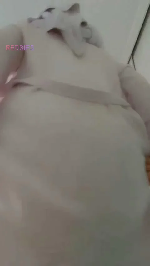 Shaking my ass 💋