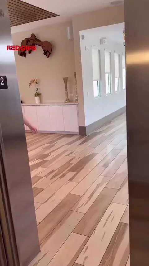 tight enough to make you forget which floor you pressed