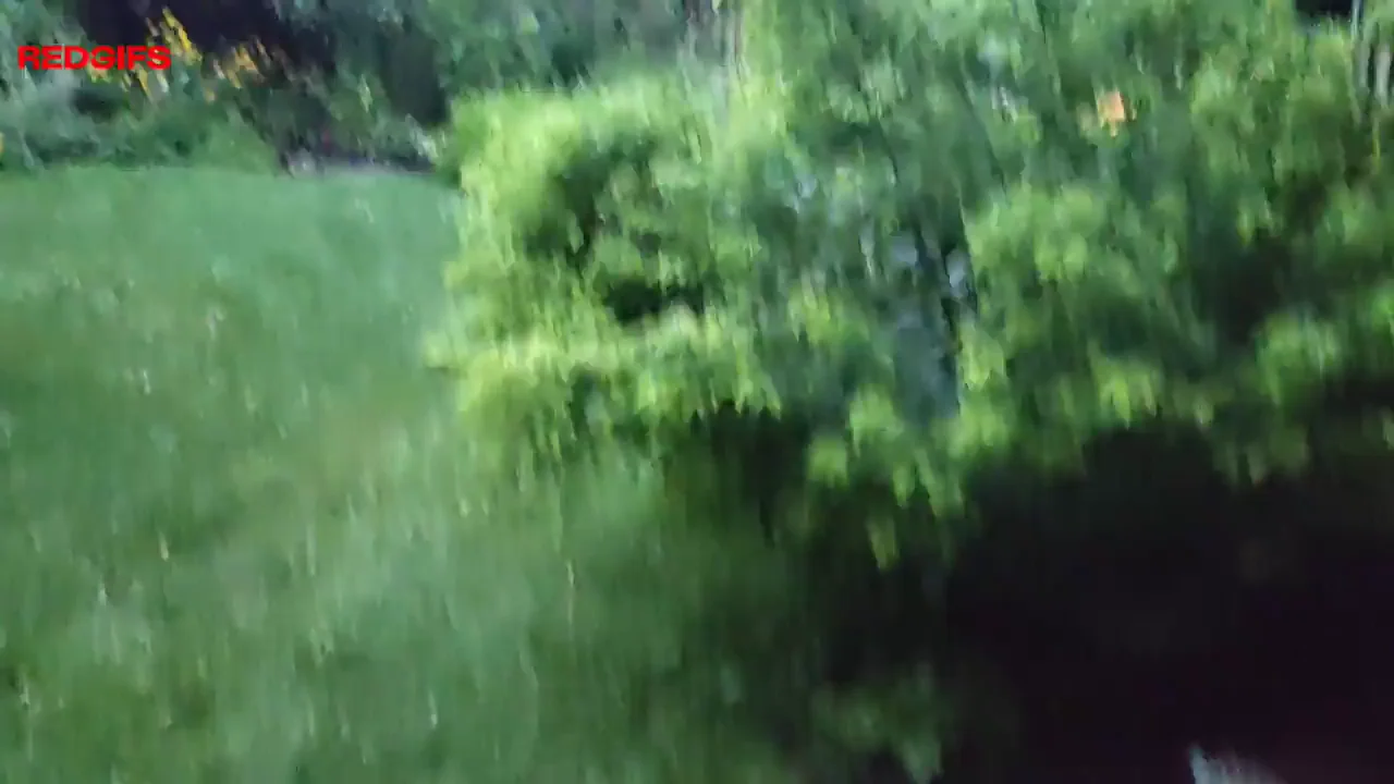 Public wild