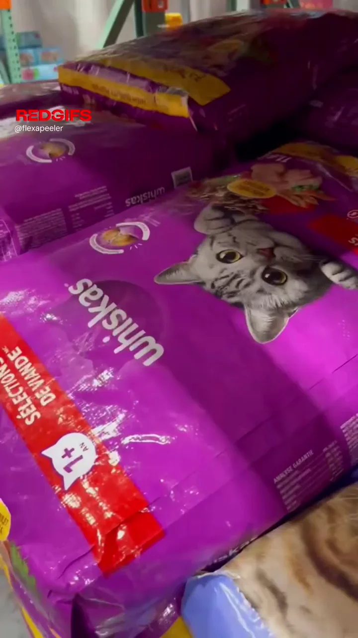 Hungry Pussy