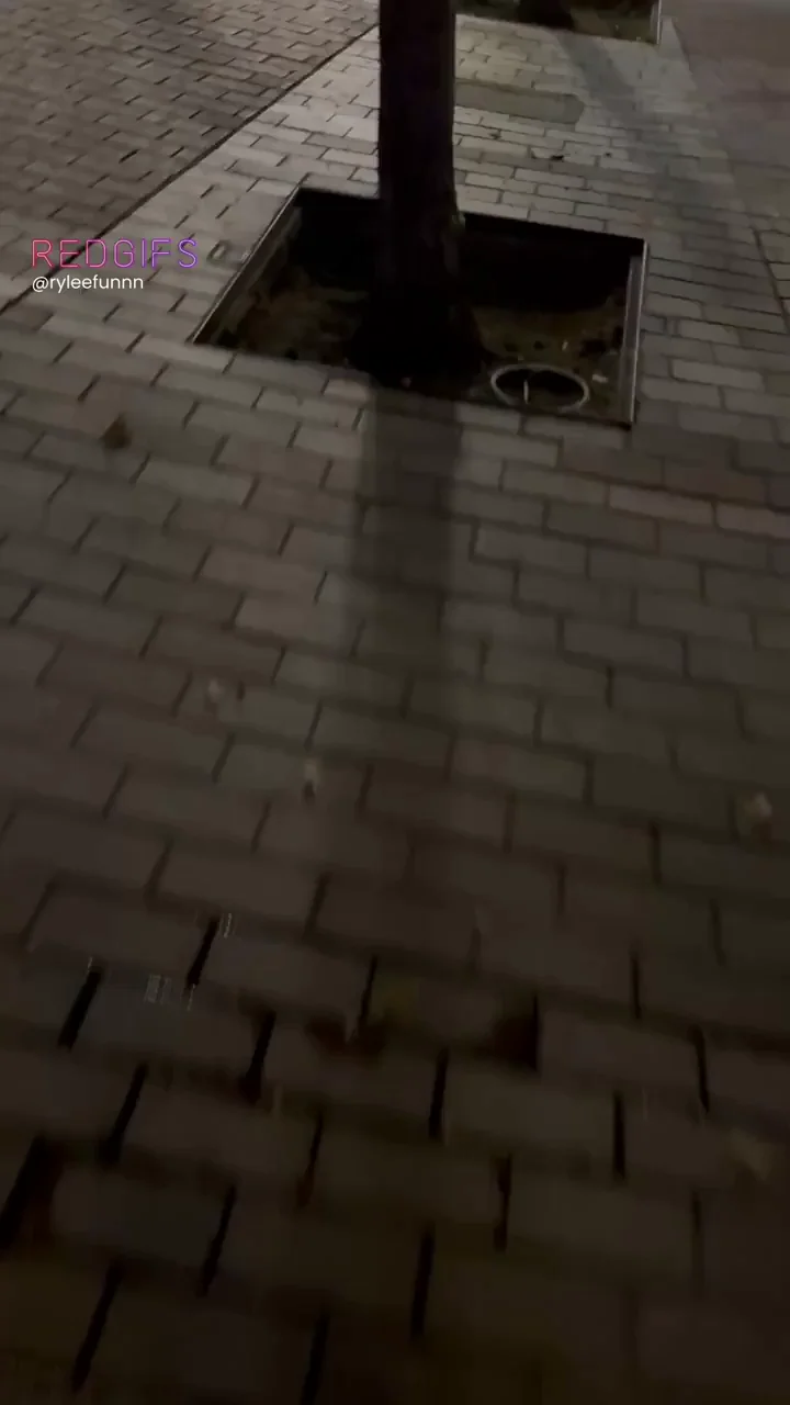 Late night stroll