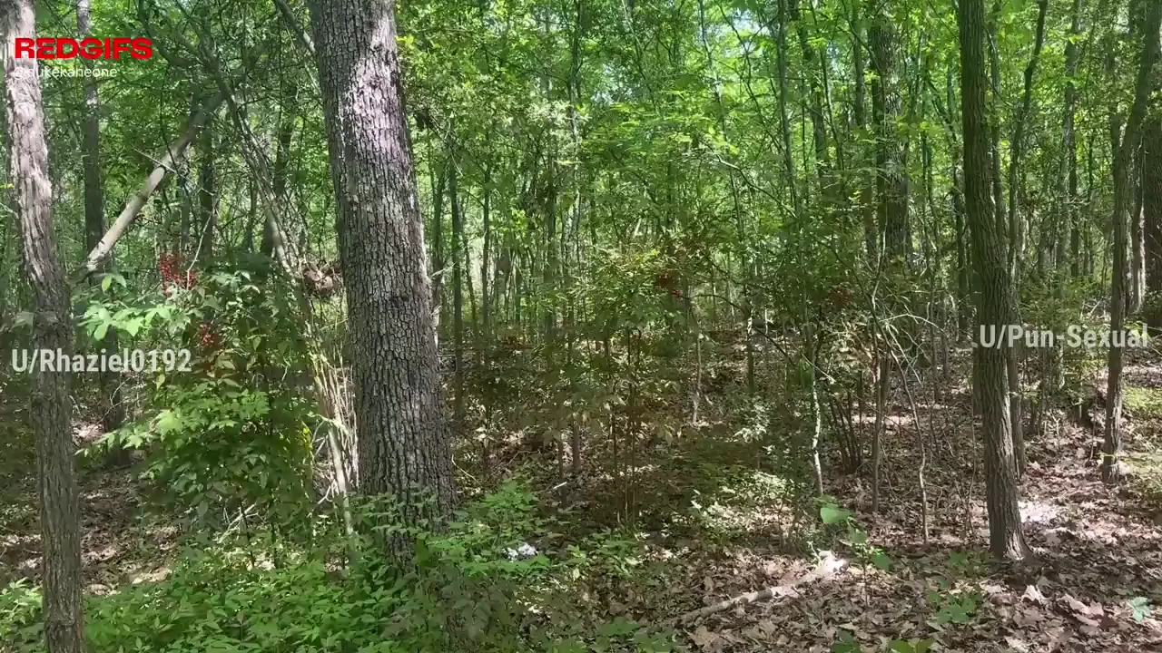 🌲 Chased Down in Woods & Pounded Raw Against Tree 🍆💦