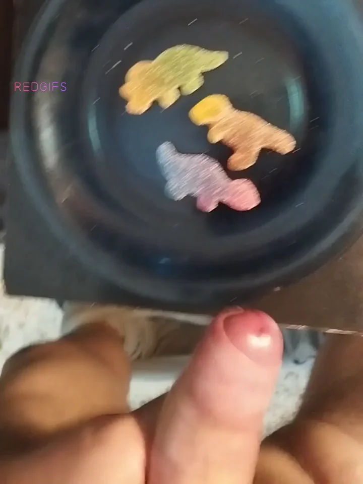The real end of dinos
