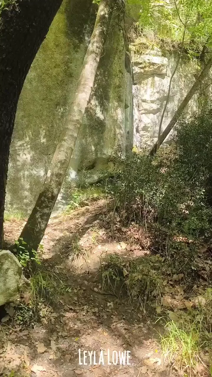 Whoops, almost got caught with my cute shenanigans on the way to the beach