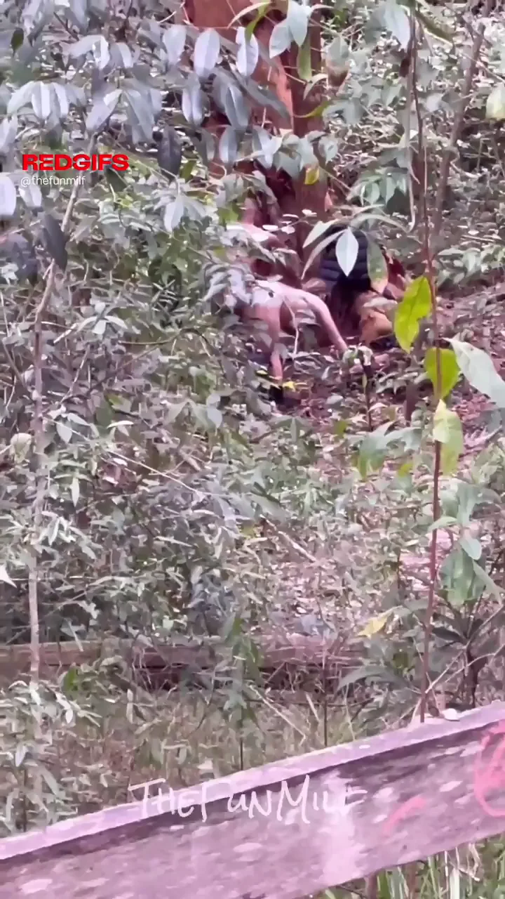 Hubby Catches BBC Pounding His Slut Wife in the Woods 🐇🍆💦