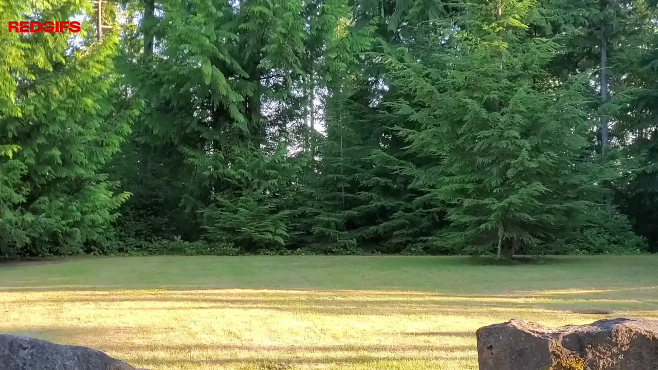 Skipping, Prancing, and then...