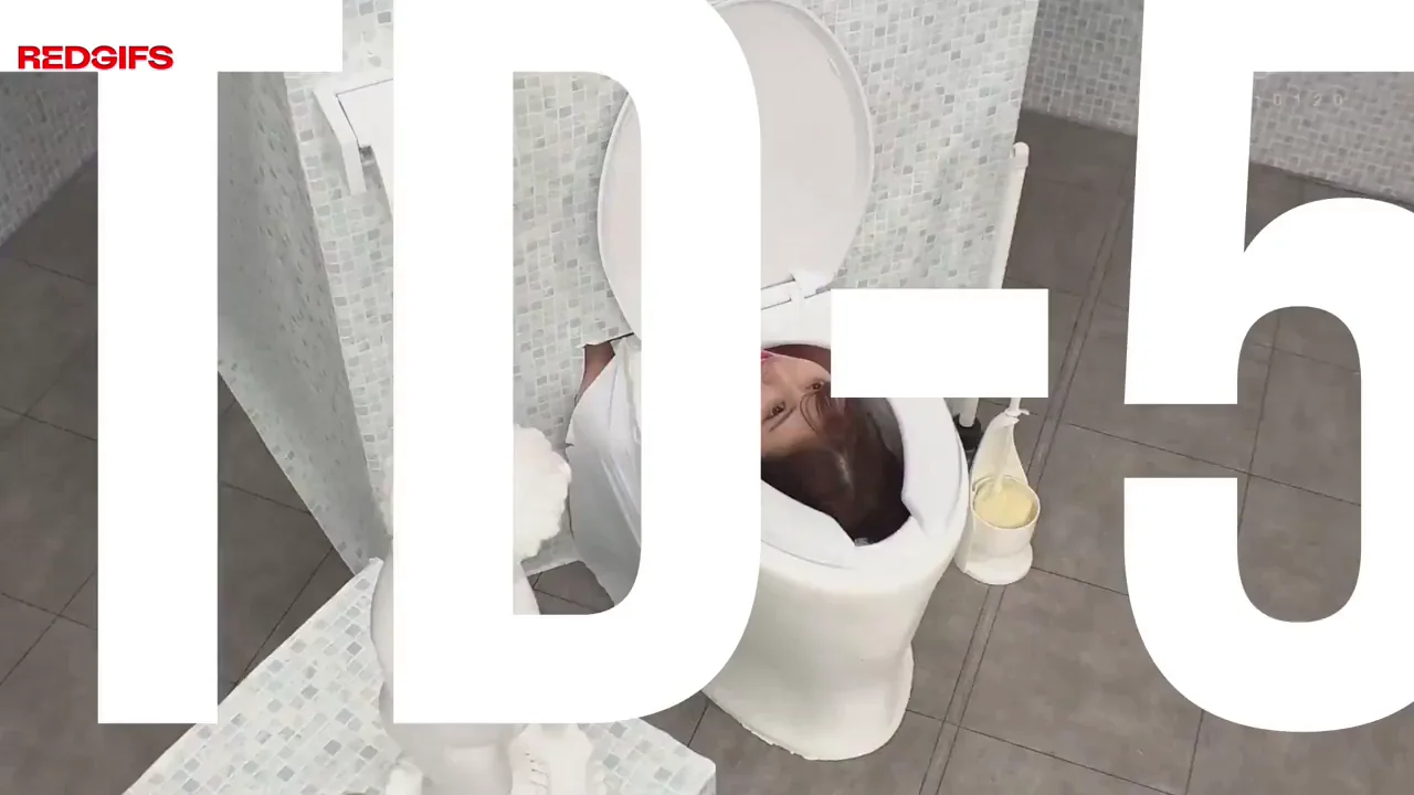 New Japanese Toilet Technology
