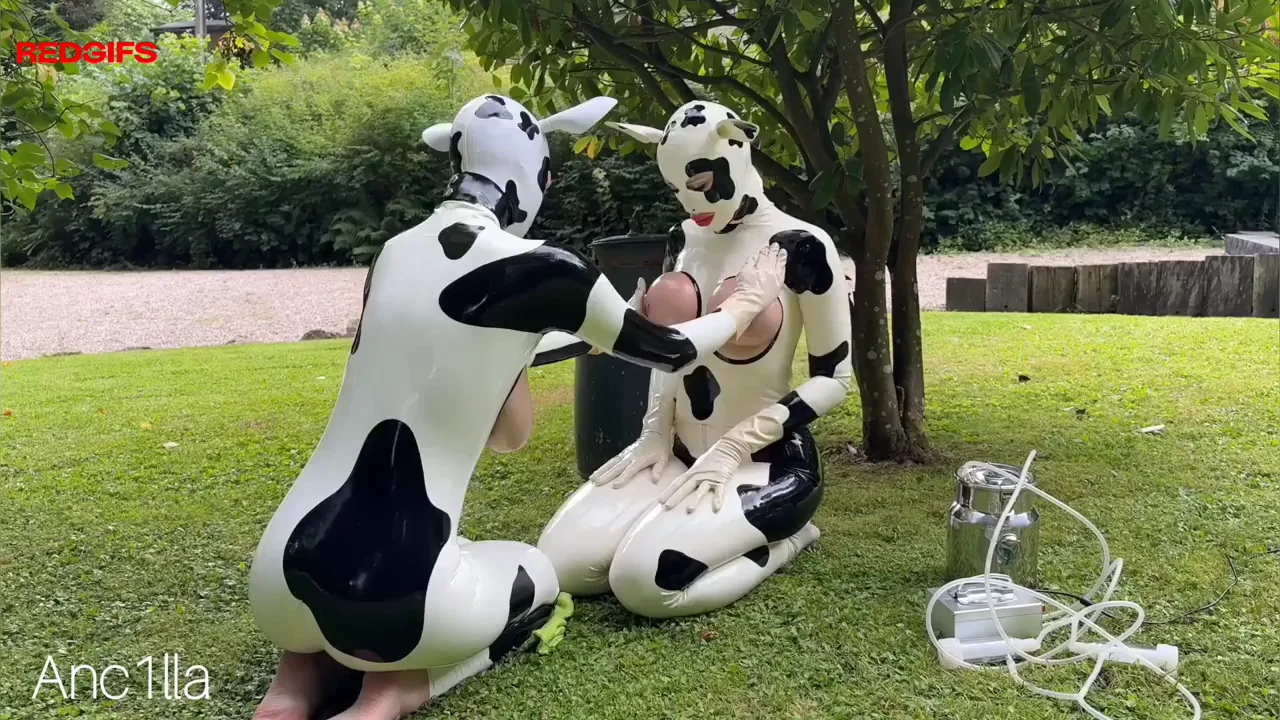 Two latex hucows getting their big tits milked[F]