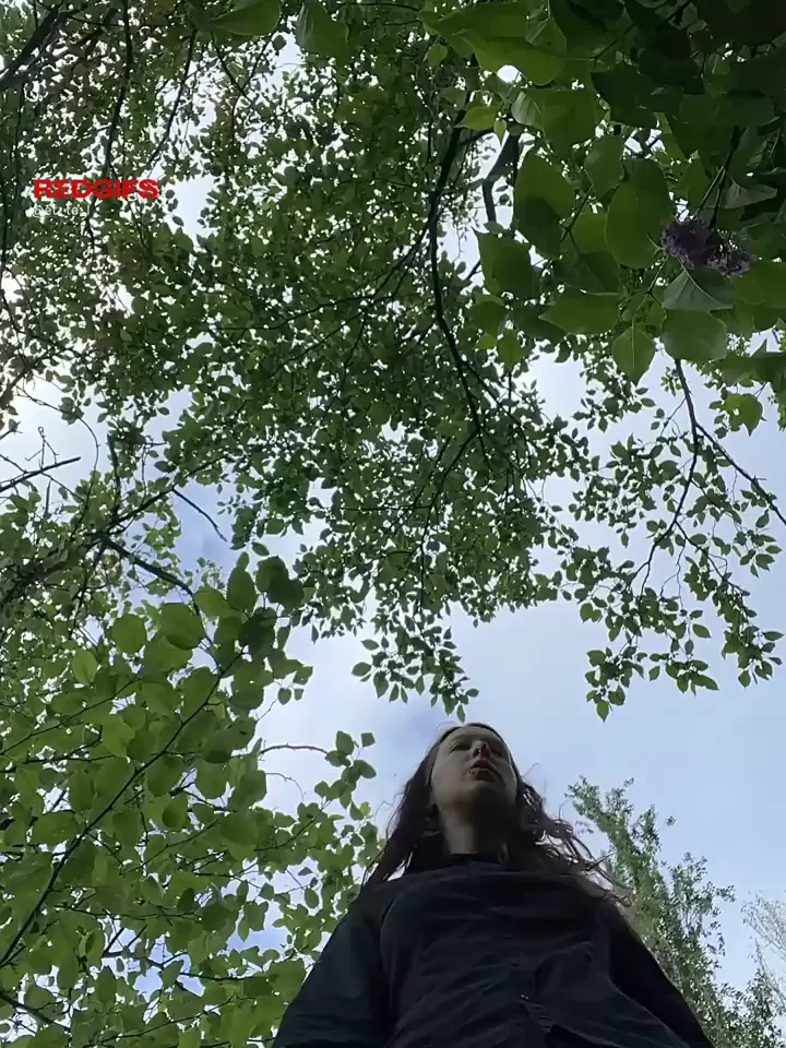 If you were a little mushroom in the forest