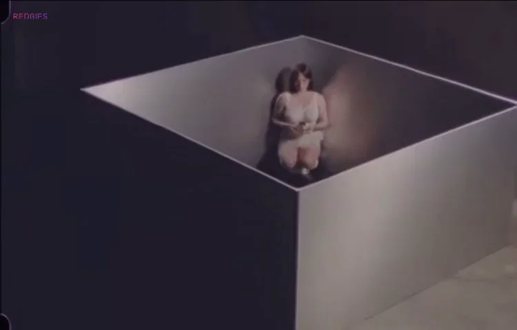 New Fragrance Promotional Video-February 2025