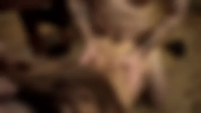 Asian Sluts Milk That Massive BWC Dry