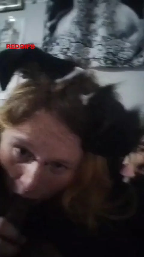 Blowjob GIF by chanterellegalaxy