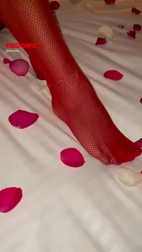 in all red papi