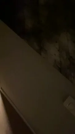 Natural tits in their natural environment