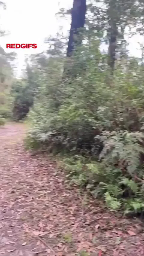 he really enjoys it when I give him bj outdoor