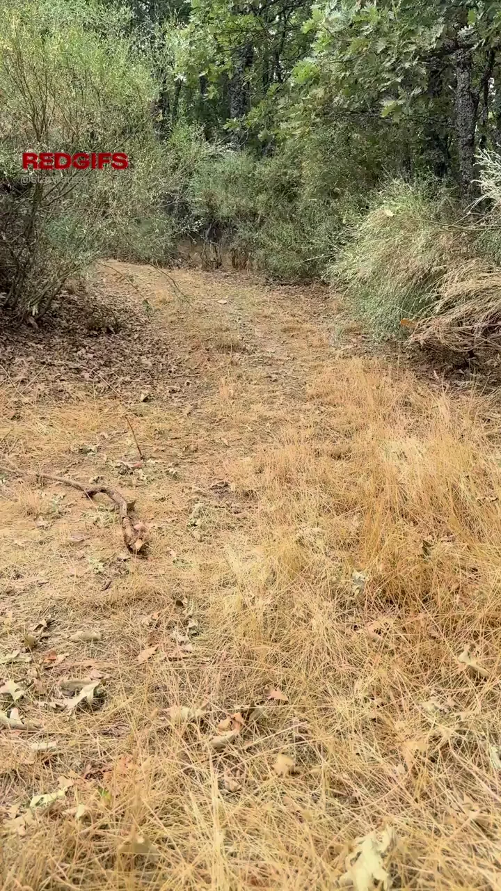 Strolling through the countryside