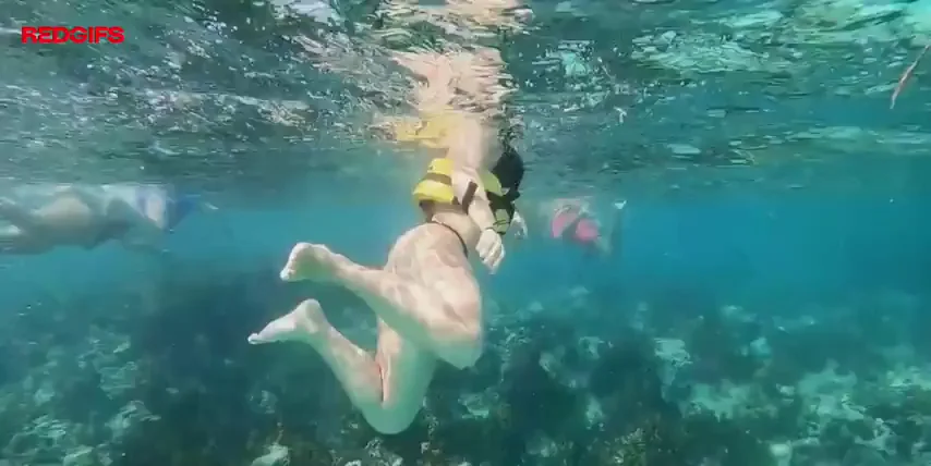 Risky Underwater Bikini Flash in Public Waters