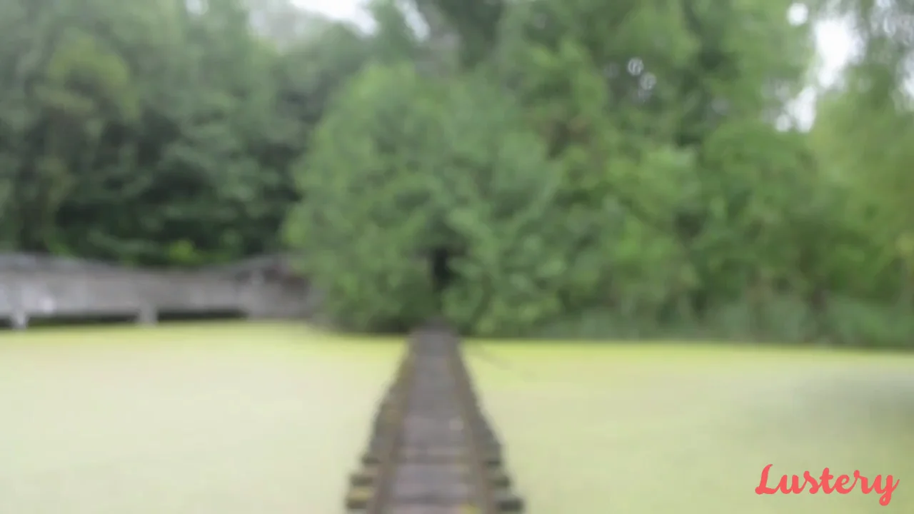 The Girl at The End of The Tunnel