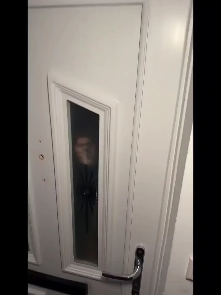 Pizza Delivery Slut Sucks Cock Through the Door
