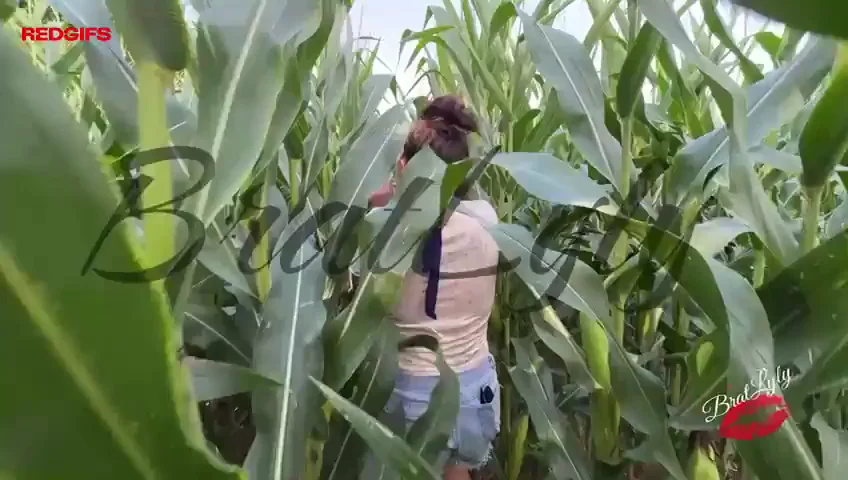 Petite envie de sucer une bite dans les Maïs....