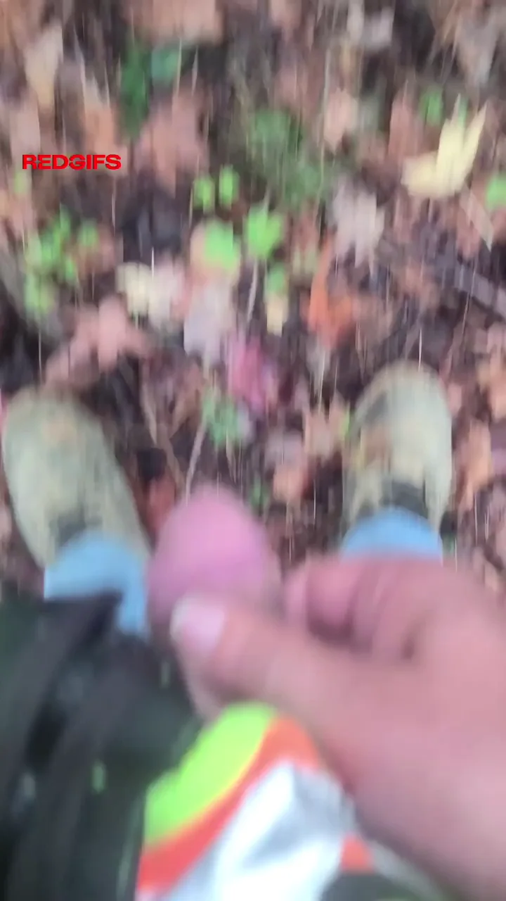 Rainy day in the woods