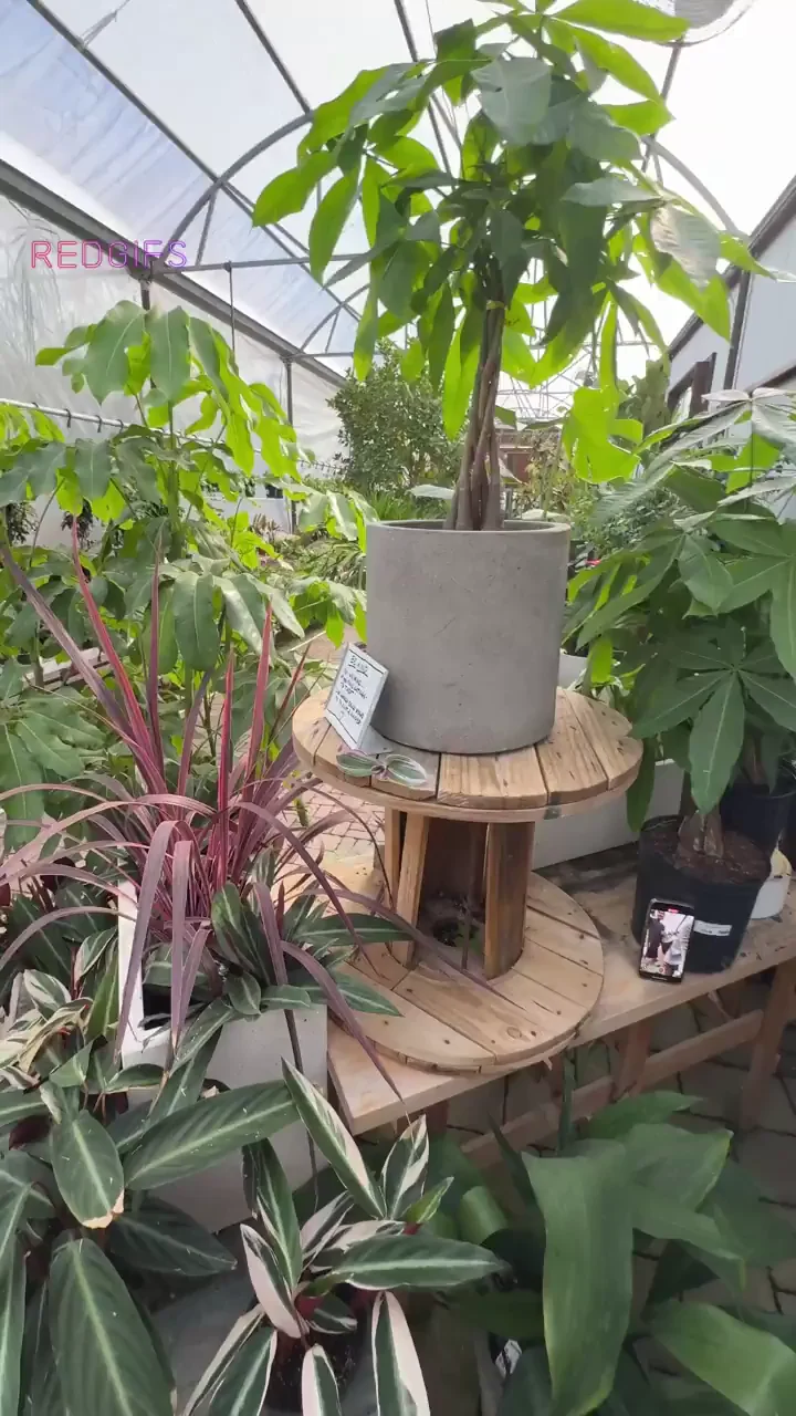 Met him at the plant nursery. Hubby didn't know why I wanted to keep going back each week, but we made plans to meet this weekend and finally fuck. God I feel so shameful.