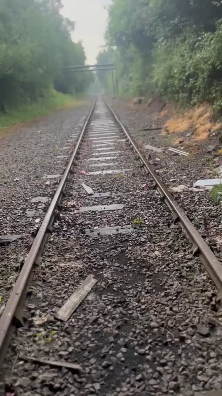 I’ll suck it anywhere he wants